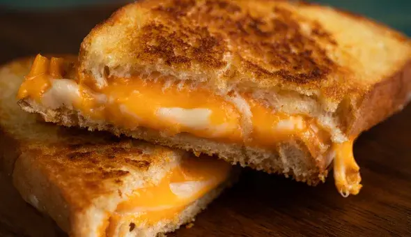 grilled cheese sandwich